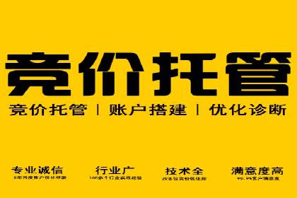 SEM竞价开户案例：从入门到精通